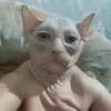 juroqueestabasobrio