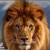 thierno.borome.da2