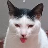 cutiepatooti45