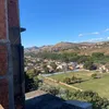 ____bonvivant7