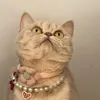 kamangooo8