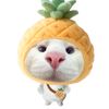nnsmmh