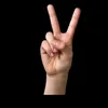 bilalrifi730