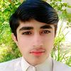 malik.mustafa.lan