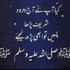 sobia.tanveer29