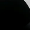 vsbiac_p.a