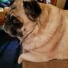 peggy.coberly