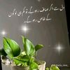 atiffarooq518