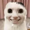 animalcompany_cringy