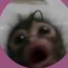 melanie.ponch