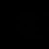 gzfv_07