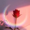 nancy.lorena.gmez1