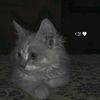 lameesalaa7