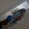 emily.camacho03
