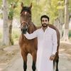 mozzi.razzaqi