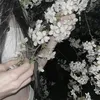 wai_kai1