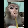 httyvideos