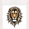 apghan.momand
