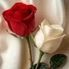haneen.azhr