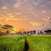 fawaz_le09