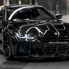 nipu__413