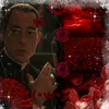 polli_2802