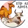 dhafi2246