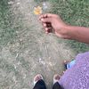 aditya__tharu03
