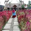arifatul.lailiyah5