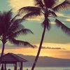 afaf.ahmed179