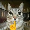 kinder_jooy12