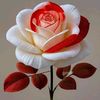 lota.akther60