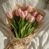 aulia_amin2