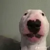 traytok8