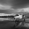 flyingroof