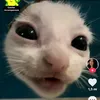 anahelenagodoi