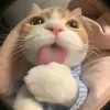 hgdgkjhsyj