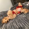 relaxingsummerforabby123