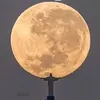 albjku