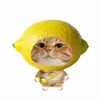 lmh_hoangg