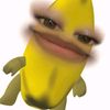 inih_verr