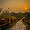 nature_world30