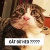 mihhpucc29