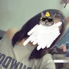pww_lihn12