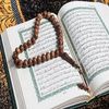 warda.warda3644