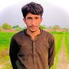 dildaralisial8
