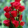 maisha40403431225734