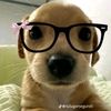 jeyleen51