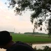dilzz_393