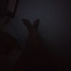 sisoyesatal_j